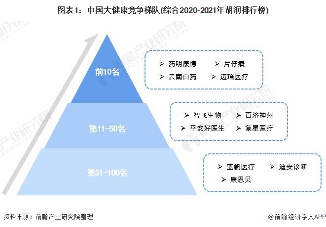 图表1：中国大健康竞争梯队(综合2020-2021年胡润排行榜)